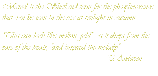 Mareel - the Shetland term for golden sea phosphoresence