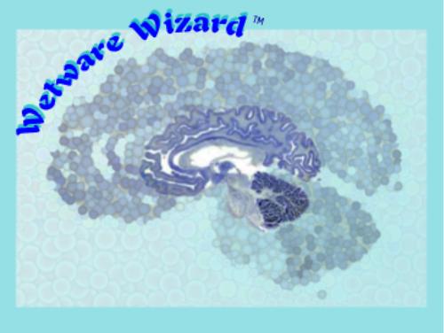 Wetware Wizard [TM].  Relationships, emotions, communication, psychotherapy, self-help, and the mind/body connection are among the topics highlighted on this site.